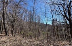 Lots # 10-11-12 Yasmine Lane, Vilas, NC 28692