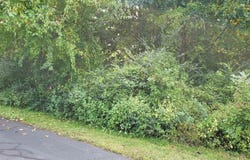 11a Snipe Hollow Lane, Warne, NC 28909