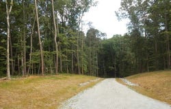 5.96 Acres Canyon Point, Demorest, GA 30535