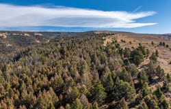 TBD, Shell, WY 82441