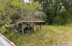 2060 HAZELNUT STREET, BUNNELL, FL 32110