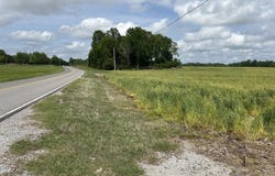 54 Acres Hwy 207, Anderson, AL 35610