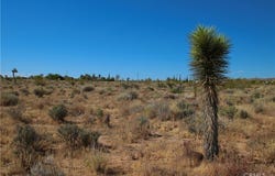 49 Aberdeen, Yucca Valley, CA 92284