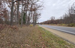 Woodbridge, Bitely, MI 49309