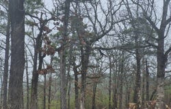 19 Saddlegap Ranch Drive, Tuskahoma, Ok., OK 74571