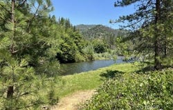 81 Rivendell, Douglas City, CA 96024