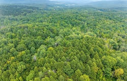 L12.3 Humphrey Road, Fultonville, NY 12072