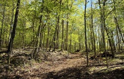 Hinton Rd, White Oak, WV 25989
