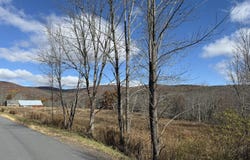 Route 10, Ashland, NY 12407