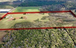 8374 County Road 222, Trinity, AL 35673