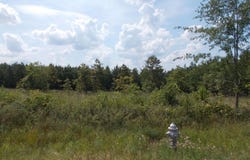 1705 Grant 53, Sheridan, AR 72065
