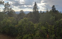 1781, Chama, NM 87520