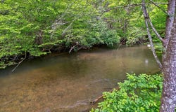 369 Trillium Road, Suches, GA 30572