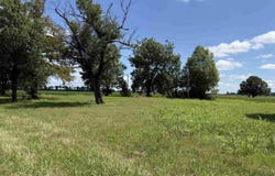 31767 North Rd., Marked Tree, AR 72365