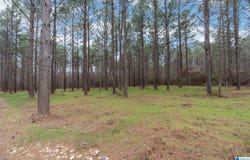 NORTHSIDE ROAD lot: 18, BERRY, AL 35546