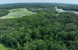 Lasher Road, Dryden, MI 48428