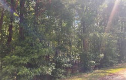 197 Hard Rock Road unit: 75, Winnsboro, SC 29180