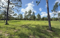 0 Lake Drive, Marianna, FL 32448