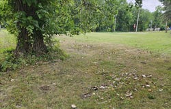 104 Ida Street, Allegan, MI 49010