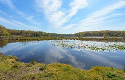 11131 Co Rd 215, Grand Junction, MI 49056