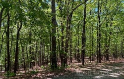 Raven Ridge Trail, Dobson, NC 27017