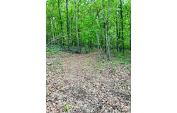 Tract D Madison CR 5450, Elkins, AR 72727
