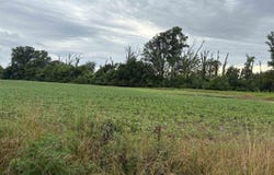 00 N RANDOLPH Drive, Centralia, IL 62801