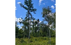 LOT71 NW CR 152, Jennings, FL 32053
