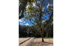440 Red Wright Rd, Leakey, TX 78873