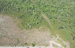TBD NW John F. Bailey Rd., Blountstown, FL 32424