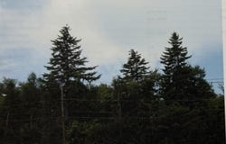 489 Route 196, Tobyhanna, PA 18466
