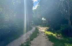 490 Vz County Road 2915, Eustace, TX 75124