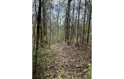 HOLLYBERRY LANE lot: 3, Houston, AL 35572