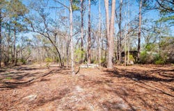 108 NE W Peppermint Trail, Pinetta, FL 32350