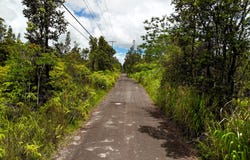 16-1878 ROAD 1 (UHINI ANA), Mountain View, HI 96760