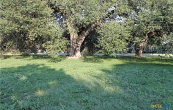 3702 Fall Creek Lane, Temple, TX 76504