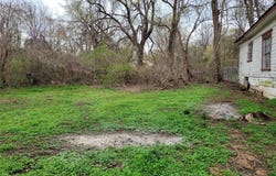 726 NE 6th, Paris, TX 75460
