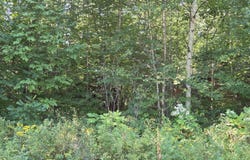 385 Swain Road, Rumford, ME 04276