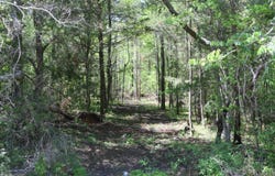 00 Highway 21, Hayneville, AL 36040