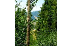 NKA TAMARACK RIDGE Rd, Cataldo, ID 83810