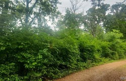 2053 Welch Drive, Hermann, MO 65041
