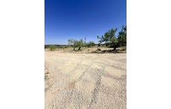 County Rd 315, Colorado City, TX 79512