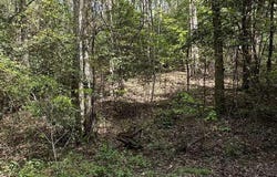 Lot 20 Big Ben, Ellijay, GA 30540