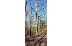 0 White Owl Dr Drive, Elberton, GA 30635