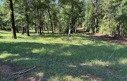 TBD FM 2694, Shelbyville, TX 75973