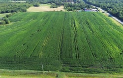 43295 190th Avenue, Chariton, IA 50049