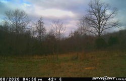 Martin Creek, Williford, AR 72482