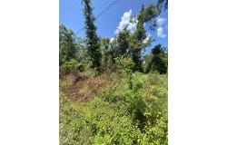 SW Main Street, Greenville, FL 32331