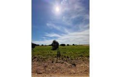 2077 Eagles Ridge Drive, Weatherford, TX 76087