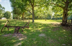 418 S Dixie Road, Wagener, SC 29164